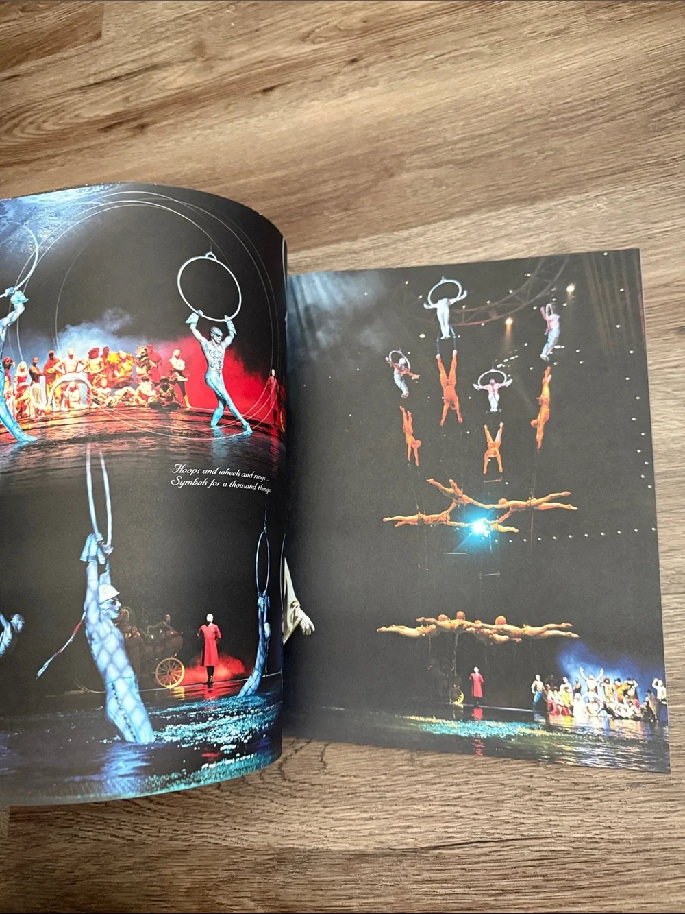 Cirque du Soleil 